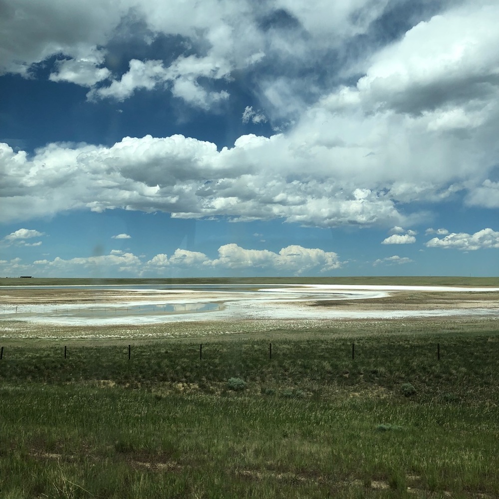 Meet your Posher, Olena